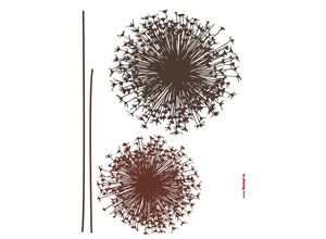 Wandtattoo KOMAR "Pusteblume - Größe 50 x 70 cm", braun, B:50cm, Folie, Wandtattoos, selbstklebend, Wandsticker