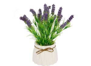 Kunstpflanze I.GE.A. "Lavendel", lila (violett), B:20cm H:27cm L:20cm, Kunststoff, Kunstpflanzen, Im Keramiktopf
