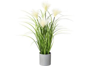 Kunstgras CREATIV GREEN "Riedgras", grün, B:10cm H:50cm, Kunststoff, Kunstpflanzen, im grauen Kunststofftopf
