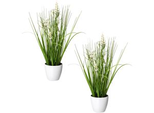 Kunstgras CREATIV GREEN "Blüten-Gras-Mix", weiß, H:41cm Ø:10cm, Kunststoff, Kunstpflanzen, in weißer Kunststoffschale