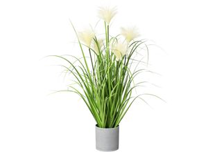 Kunstgras CREATIV GREEN "Riedgras", grün, H:66cm Ø:15cm, Kunststoff, Kunstpflanzen, im grauen Kunststofftopf