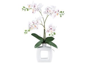 Kunstorchidee CREATIV GREEN "Orchidee Phalaenopsis", weiß (weiß, rot), H:42cm, Kunststoff, Kunstpflanzen, in trendigem Keramikgefäß