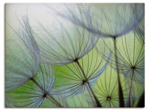 Wandbild ARTLAND "Pusteblumen-Samen II", grün (farbe bild(er): grün), B:80cm H:60cm T:1,8cm, Canvas, Leinwand, Bilder, als Leinwandbild, Poster in verschied. Größen