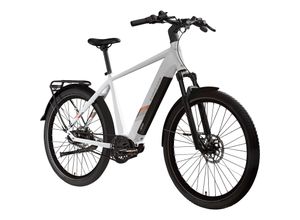 Zündapp X850 Trekking E Bike