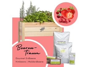 URBAN-Hochbeet Hochbeet Set 4x Echtpflanzen, Pinienrinde, Hochbeeterde, Kokosziegel und Dünger Holz Balkongarten Pflanzenset Pflanzkasten für Garten Terrasse Balkon Maße H. 78 x B. 80 x. T. 38 cm