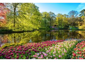Fototapete PAPERMOON "GARTEN-BLUMEN BÄUME PFLANZEN STEINE WALD PARK BLÜTEN", bunt, B:4,50m L:2,80m, Vlies, Tapeten