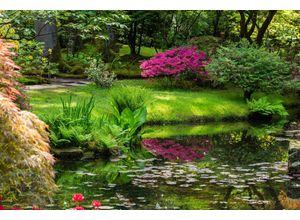 Fototapete PAPERMOON "GARTEN-BLUMEN BÄUME PFLANZEN STEINE WALD PARK BLÜTEN", bunt, B:4,50m L:2,80m, Vlies, Tapeten
