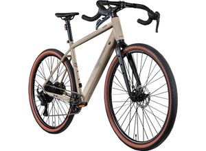 Remington G100 E Bike Gravelbike