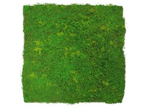 Jangal Akustikpaneel Modular Wall System