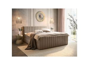 Boxxx Boxbett, Taupe, Kunststoff, H3,