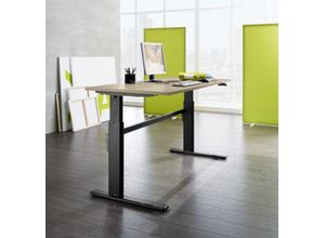 Schäfer Shop Select Schreibtisch, elektrisch