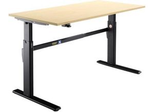 Schäfer Shop Select Schreibtisch, elektrisch