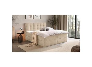 Boxxx Boxbett, Creme, Kunststoff, H3,