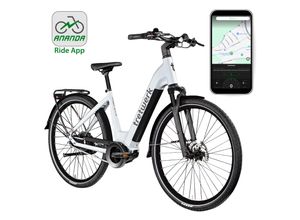 Tretwerk Amber Nexus E Bike