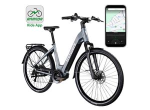 Tretwerk Amber E Bike Damen