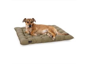 Doctor Bark Pointer Urban Kissen