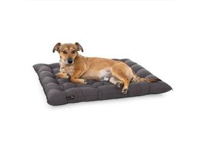 Doctor Bark Pointer Urban Kissen