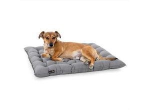 Doctor Bark Pointer Urban Kissen