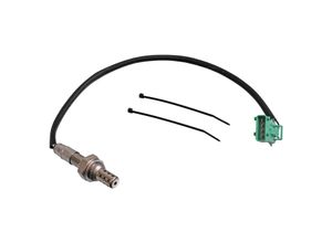 mini 155 kw katalysator