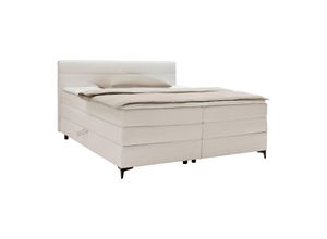 Boxspringbett Bari in Creme ca.