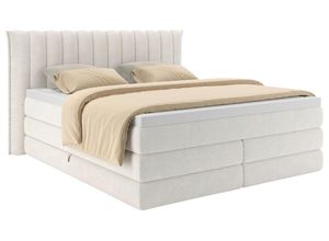 Boxspringbett Lina Creme ca. 200x200