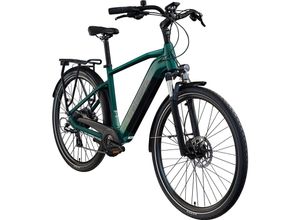 Tretwerk Onyx E Bike Trekkingrad