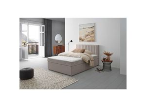 P & B Boxbett, Hellgrau,