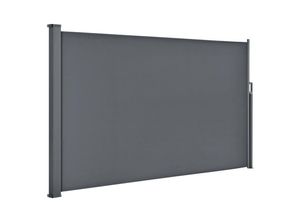 Juskys Seitenmarkise, Grau, Kunststoff, 300x160x300