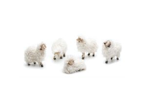 Woll-Schafe,…