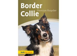 Border Collie -…