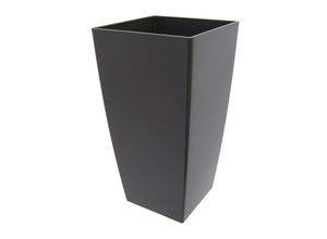 Vase PIZA…