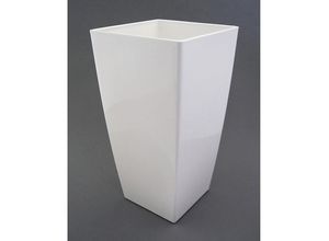 Vase PIZA…