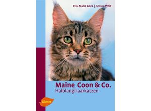 Maine Coon &…