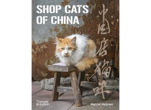 Shop Cats of…