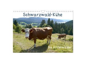 Schwarzwald-Küh…