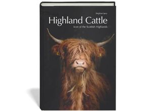 Highland Cattle…