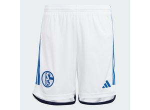 FC Schalke 04…