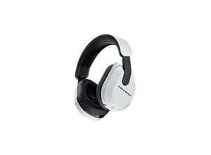 Turtle Beach…
