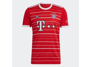 FC Bayern…