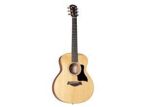 Taylor GS Mini…