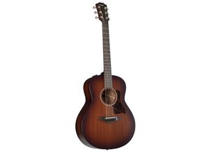 Taylor AD21e