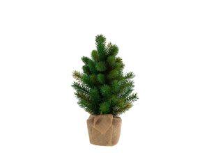 Tannenbaum, 45…