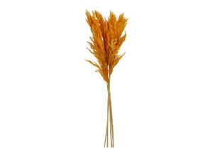 Trockenblume…