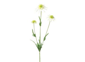 Kunstblume…