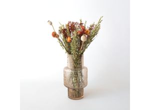 Plant in a Box…