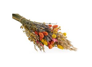Trockenblumen-S…