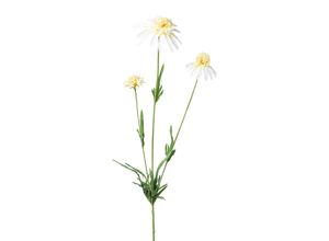 Kunstblume…