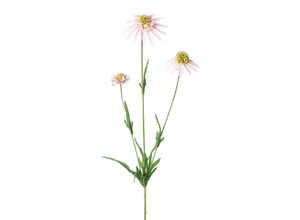 Kunstblume…