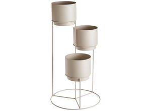 Ambia Home…