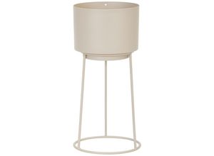 Ambia Home…